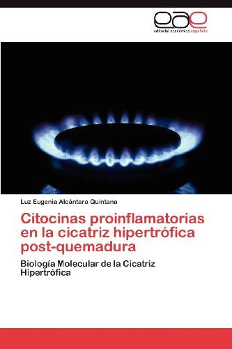 Cover for Luz Eugenia Alcántara Quintana · Citocinas Proinflamatorias en La Cicatriz Hipertrófica Post-quemadura: Biología Molecular De La Cicatriz Hipertrófica (Pocketbok) [Spanish edition] (2012)