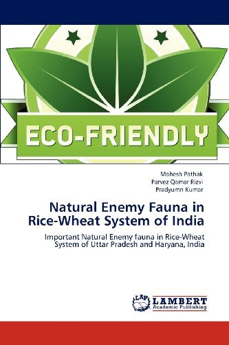 Cover for Pradyumn Kumar · Natural Enemy Fauna in Rice-wheat System of India: Important Natural Enemy Fauna in Rice-wheat System of Uttar Pradesh and Haryana, India (Paperback Book) (2012)