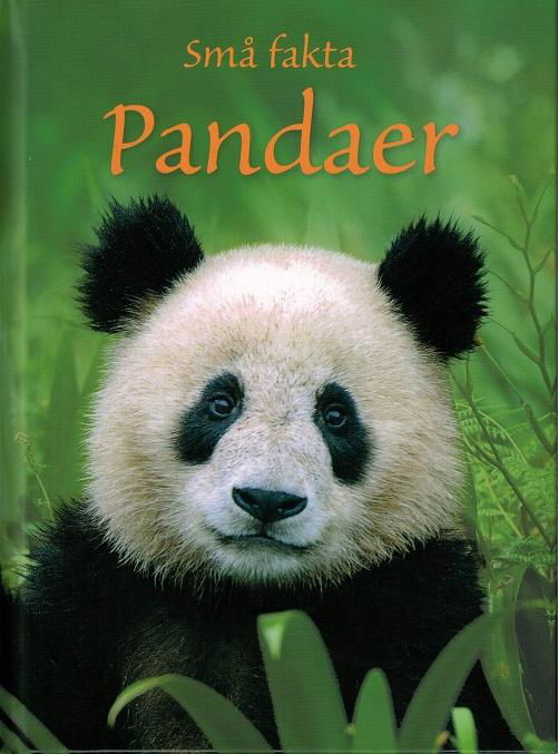 Små fakta: Små fakta: Pandaer - James Maclaine - Bücher - Flachs - 9788762722415 - 2015