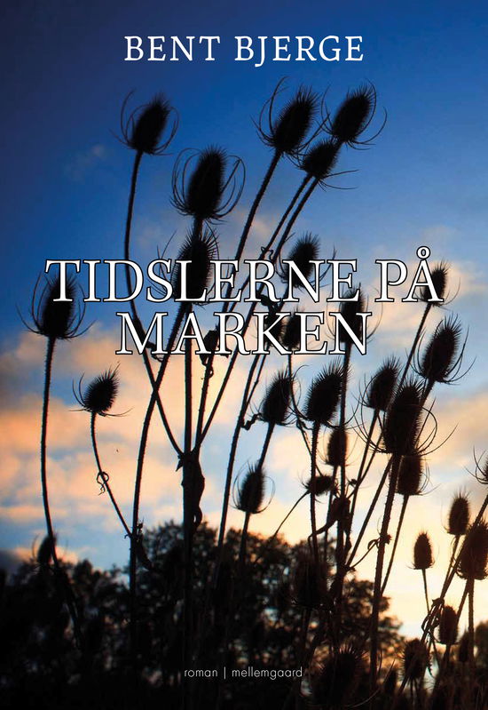 Cover for Bent Bjerge · Tidlserne på marken (Poketbok) [1:a utgåva] (2024)