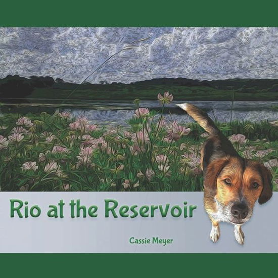 Cover for Cassie Meyer · Rio at the Reservoir (Taschenbuch) (2020)