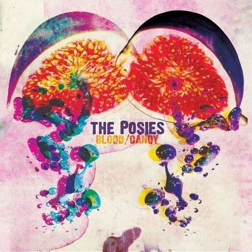 Cover for Posies · Blood / Candy (LP) (2010)