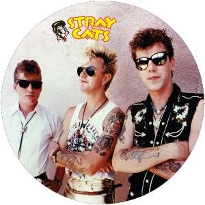 Cover for Stray Cats · Rockabilly Strut (LP) [Picture Disc edition] (2016)