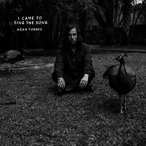 I Came to Sing the Song - Adam Torres - Muziek - FAT POSSUM - 0767981159416 - 7 april 2017