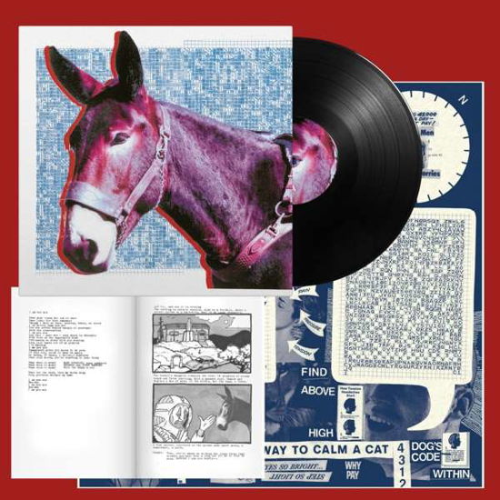 Protomartyr - Ultimate Success Today - Protomartyr - Music - DOMINO - 0887828046416 - 2010