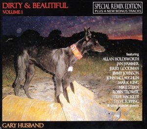 Dirty & Beautiful Vol.1 + 4 B.T. - Gary Husband  - Música - Abstractlogix - 3700501306416 - 
