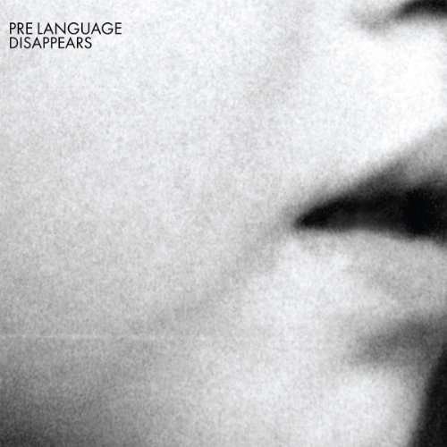 Cover for Disappears · Pre Language (LP) (2012)