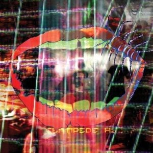 Cover for Animal Collective · Centipede Hz (LP) (2012)
