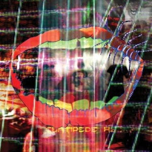 Animal Collective · Centipede Hz (LP) (2012)