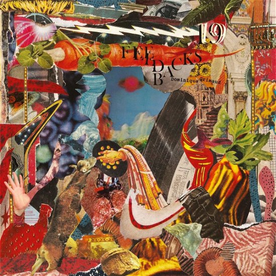 Cover for Dominique Grimaud · 19 Feedbacks (LP) (2020)