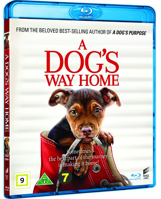A Dog's Way Home -  - Películas -  - 7330031006416 - 30 de mayo de 2019