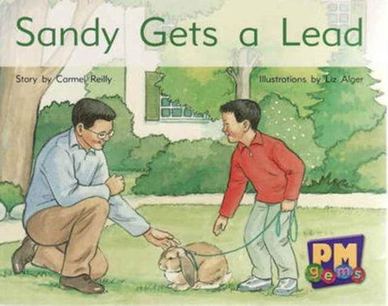 Cover for Carmel Reilly · Sandy Gets a Lead (Pocketbok) [New edition] (2005)