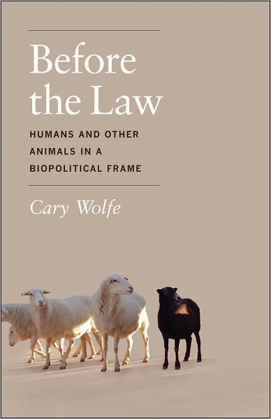 Cover for Cary Wolfe · Before the Law: Humans and Other Animals in a Biopolitical Frame (Paperback Book) (2012)