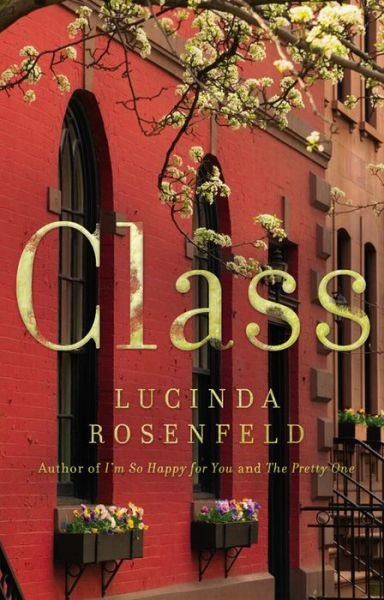 Cover for Lucinda Rosenfeld · Class (Hardcover Book) (2017)