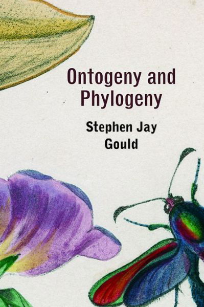 Cover for Stephen Jay Gould · Ontogeny and Phylogeny (Pocketbok) (1985)