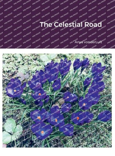 Cover for Anya Vonderluft · Celestial Road (Book) (2022)