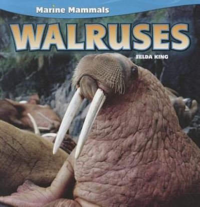Cover for Zelda King · Walruses (Book) [1st edition] (2011)