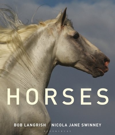 Cover for Nicola Jane Swinney · Horses (Hardcover bog) (2018)