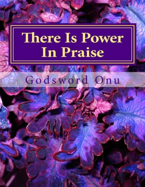 Cover for Apst Godsword Godswill Onu · There is Power in Praise: when God, Who is Fearful in Praises, Steps Down (Taschenbuch) (2015)