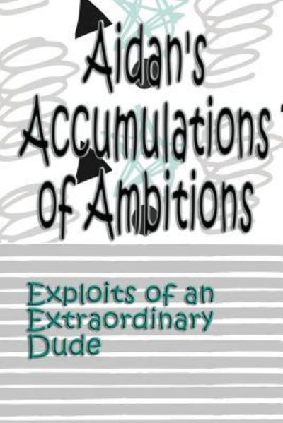 Cover for Deena Rae Schoenfeldt · Aidan's Accumulations of Ambitions (Paperback Book) (2017)