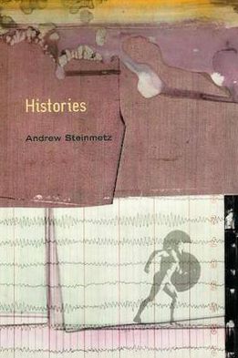 Cover for Andrew Steinmetz · Histories (Paperback Book) (2000)