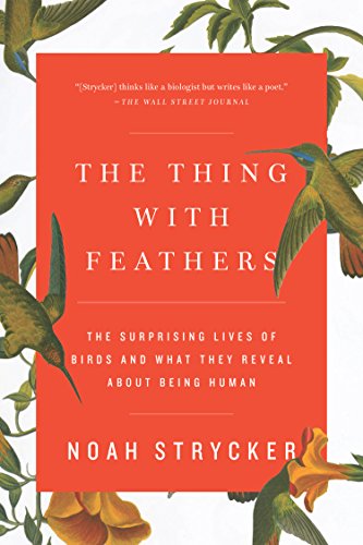 Cover for Noah Strycker · The Thing with Feathers: the Surprising Lives of Birds and What They Reveal About Being Human (Paperback Book) (2015)