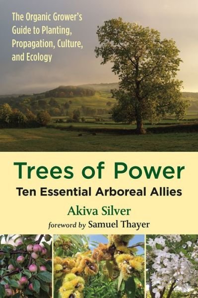 Cover for Akiva Silver · Trees of Power: Ten Essential Arboreal Allies (Pocketbok) (2019)