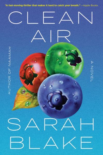 Cover for Sarah Blake · Clean Air (Paperback Book) (2023)