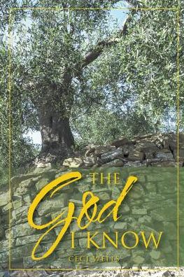 Cover for Ceci Wells · The God I Know (Paperback Book) (2019)