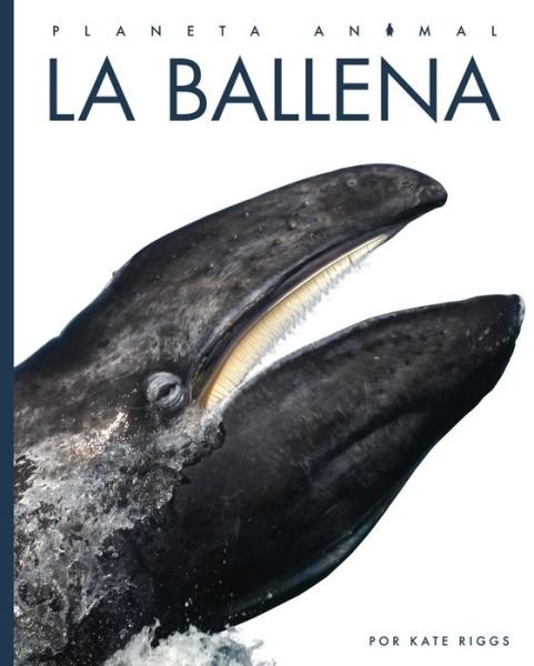 Cover for Kate Riggs · La Ballena (Paperback Book) (2022)