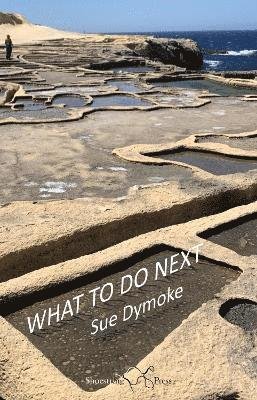 Cover for Sue Dymoke · What To Do Next (Taschenbuch) (2023)