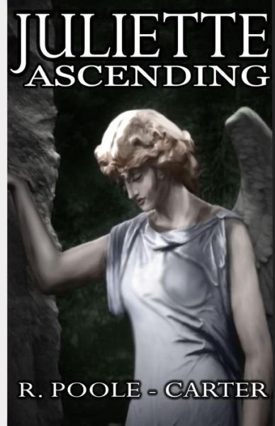 Cover for Rosemary Poole-Carter · Juliette Ascending (Paperback Book) (2019)