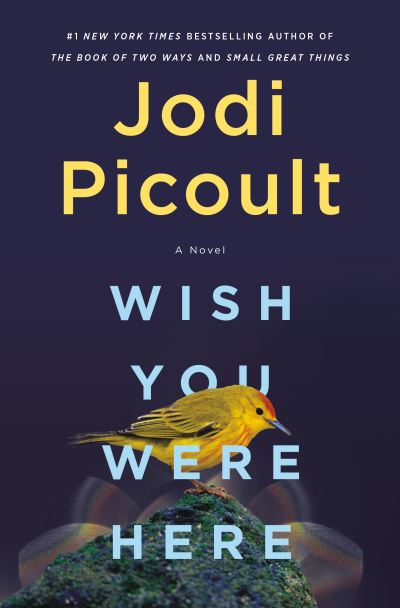 Wish You Were Here: A Novel - Jodi Picoult - Boeken - Random House Publishing Group - 9781984818416 - 30 november 2021