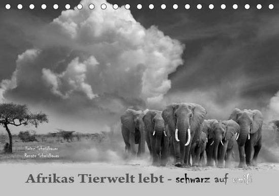 Afrikas Tierwelt lebt - sch - Schmidbauer - Książki -  - 9783671484416 - 