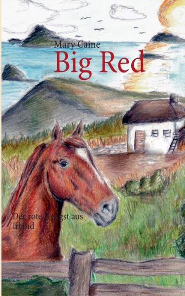 Cover for Mary Caine · Big Red (Paperback Book) [German edition] (2013)