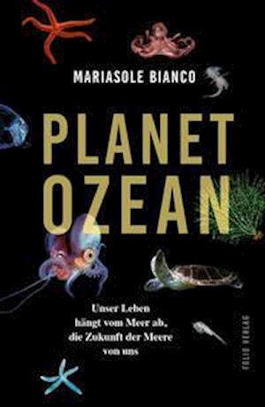 Planet Ozean - Mariasole Bianco - Books - Folio Verlagsges. Mbh - 9783852568416 - August 24, 2021