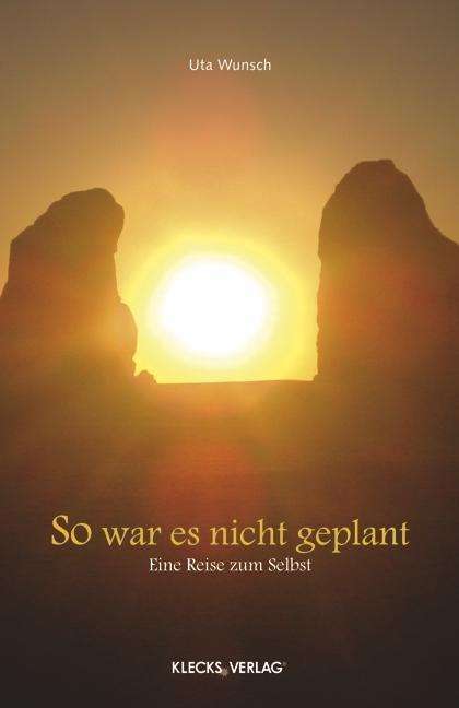 Cover for Wunsch · So war es nicht geplant (Book)