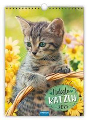 Cover for Trötsch Verlag GmbH &amp; Co. KG · Classickalender &quot;Liebste Katzen&quot; 2023 (Calendar) (2022)