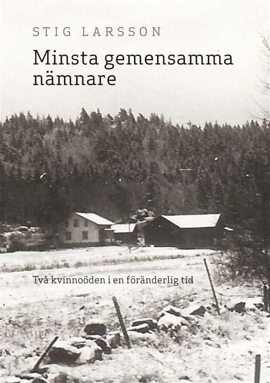 Cover for Stig Larsson · Minsta gemensamma nämnare : två kvinnoöden i en föränderlig tid (Innbunden bok) (2020)