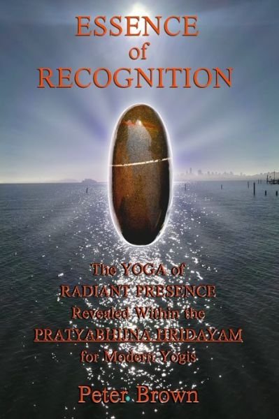 Cover for Peter Brown · Essence of Recognition (Paperback Book) (2020)