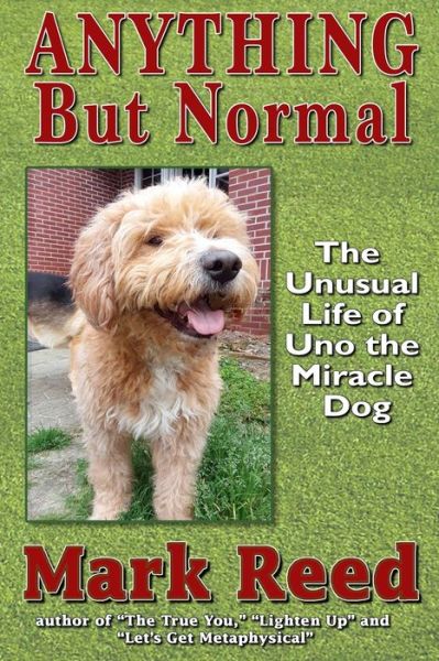Anything But Normal - Mark Reed - Livros - Independently Published - 9798648684416 - 25 de maio de 2020