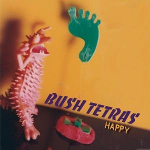 Happy - Bush Tetras - Muziek - ROIR - 0053436832417 - 13 november 2012