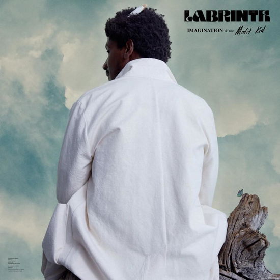 Imagination & The Misfit Kid (Clear Vinyl) - Labrinth - Muziek - SYCO MUSIC - 0190758727417 - 28 februari 2020