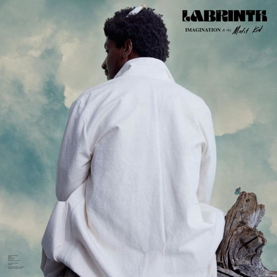 Cover for Labrinth · Imagination &amp; The Misfit Kid (Clear Vinyl) (LP) (2020)