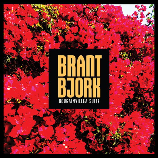 Bougainvillea Suite (Tye Die Pink / White / Green Vinyl) - Brant Bjork - Music - HEAVY PSYCH SOUNDS - 0665878208417 - November 25, 2022