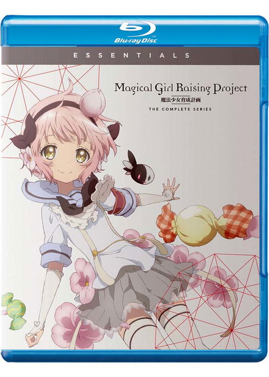 Magical Girl Raising Project Cs - Blu-ray - Movies - THRILLER, ANIMATION, FANTASY, ACTION, AD - 0704400102417 - November 3, 2020