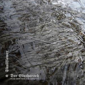 Cover for Der Blutharsch &amp; The Infinite Church Of The Leading Hand · Collaboration (LP) (2021)