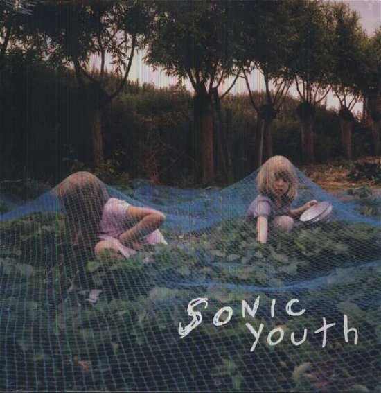 Cover for Sonic Youth · Murray Street (LP) (2002)