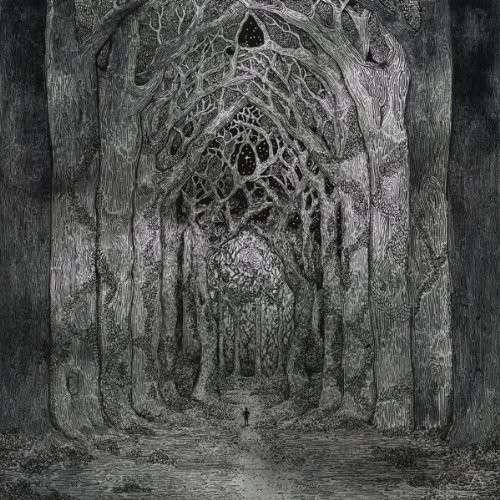 Cover for Nhor · Within The Darkness Between The Starlight (LP) [180 gram edition] (2013)