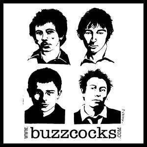 Cover for Buzzcocks · Best in Good Food (VINYL) (2013)